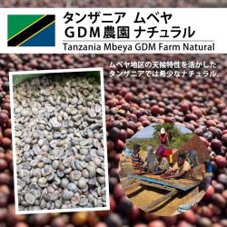 󥶥˥  ٥  GDM  ʥTanzania Mbeya GDM Farm Natural