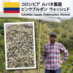 ӥ  ѥ  ԥ󥯥֥ܥ  å(Colombia  Lupata  Pinkbourbon  Washed)(500g)