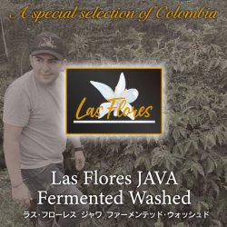 Ըϻ뻡եӥ 饹ե쥹  եƥå å(Colombia Las Flores JAVA fermented washed)(200g)