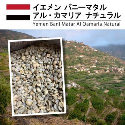 [Ĥ鷺]  Хˡޥ  ޥꥢ ʥYemen Bani Matar Al Qamaria Natural