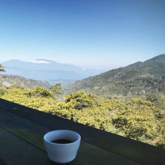 ホンジュラス サンタ・ルシア農園 ゲイシャ W- 松屋珈琲〜コーヒー生豆