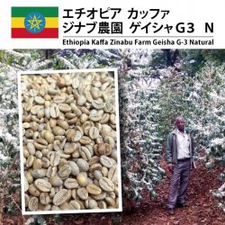 ԥ  åե  ʥ  ǣ  ΡEthiopia Kaffa Zinabu Farm Geisha G3 Natural