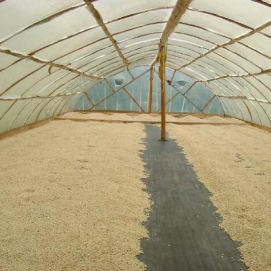 コロンビア クラシック・ウィラ - 松屋珈琲〜コーヒー生豆通販専門店の