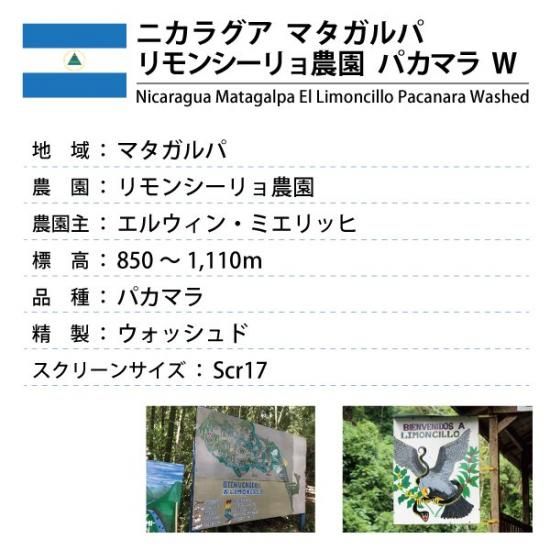 ニカラグア マダガルパ リモンシーリョ農園 パカマラ ウォッシュド