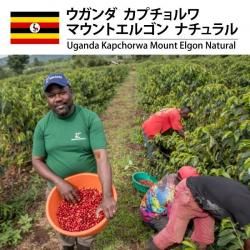 ▽ アフリカ - 松屋珈琲ホームページ 激安コーヒー生豆、生豆