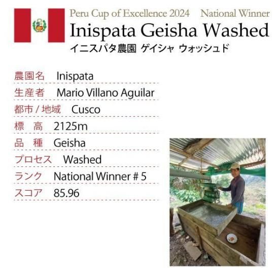 ペルーゲイシャ　コーヒー生豆 5kg ペルー ゲイシャ （Mサイズ）｜東京のスペシャルティ珈琲豆店