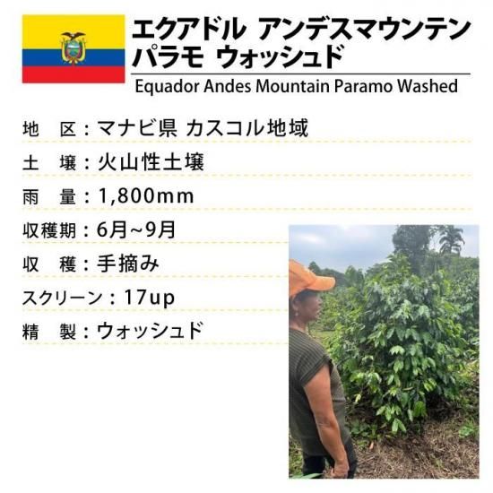 エクアドル アンデスマウンテン パラモ ウォッシュド（Equador Andes