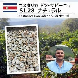 松屋珈琲～コーヒー生豆通販専門店の通販サイト～コスタリカ～