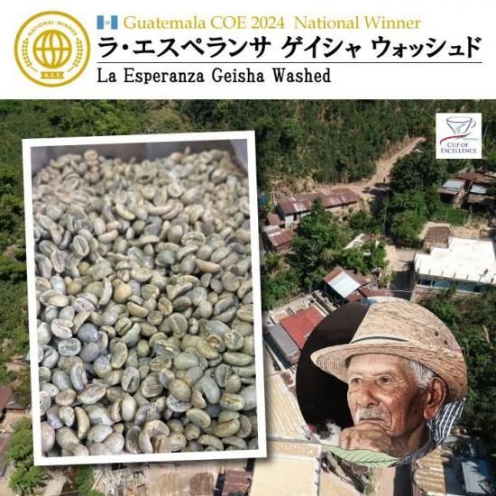 COE2024 ナショナルウィナー》 グアテマラ ラ・エスペランサ ゲイシャ
