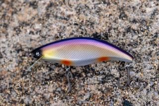 �����Х��饤�֡����饦��ɥ���ᣱ�����ơ����ܤθе��������硡�ե����ƥ��󥰡��Ŀ�����ǥ᡼���أϣˤǤ�����������͡��ɤο������ĤǤ��ꤤ�פ��ޤ���
