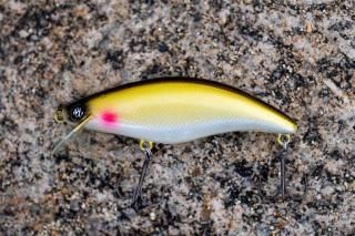 �����Х��饤�֡����饦��ɥ���ᣱ�����ơ��������󥸥���åɡ������硡�ե����ƥ��󥰡��Ŀ�����ǥ᡼���أϣˤǤ�����������͡��ɤο������ĤǤ��ꤤ�פ��ޤ���
