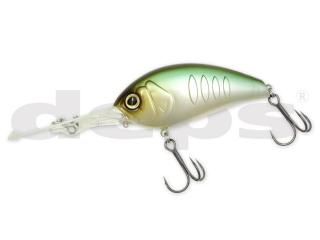 �ǥץ������ꥬ��֥쥤�����������ǥåɥ꡼�����Х��������硡�Ŀ�����ǥ᡼���أϣˤǤ���