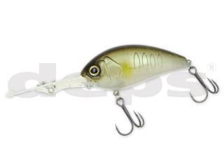 �ǥץ������ꥬ��֥쥤�����������������ȥ��桡������