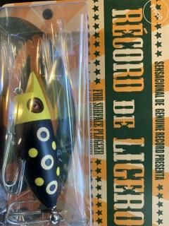 激レア ゴレンジャー ルアー アカシ レコード ヒヨコ ツナミ ミキスケ テング アガベ チタノタ ドワーフ “姫厳竜” （発根済み）RF22840