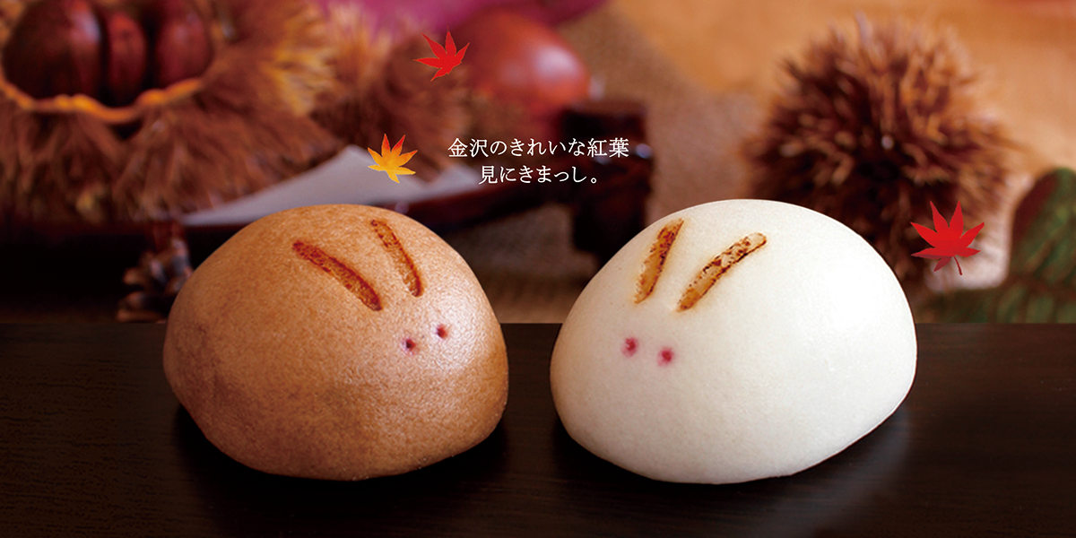 金沢のきれいな紅葉見にきまっし。