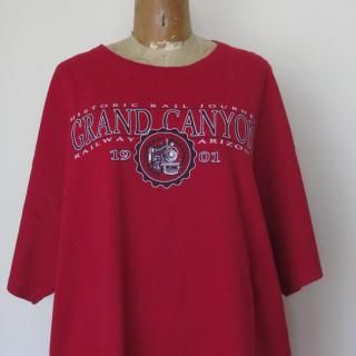 <img class='new_mark_img1' src='https://img.shop-pro.jp/img/new/icons14.gif' style='border:none;display:inline;margin:0px;padding:0px;width:auto;' />American T-shirt C