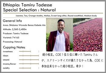 エチオピア-Natural <br>浅煎り<br>Tamiru Special Selection(50g)<br> <br>COEスクリーンサイズ落ちロット<br> <br>極小粒豆