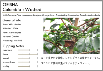 <img class='new_mark_img1' src='https://img.shop-pro.jp/img/new/icons15.gif' style='border:none;display:inline;margin:0px;padding:0px;width:auto;' />GEISHA-Colombia-washed-<br><br>ޥꥢ(50g)<br> <br>󥰥饹祳졼<br> <br>ޥɷϤʥ