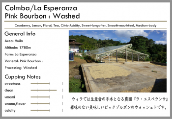 <img class='new_mark_img1' src='https://img.shop-pro.jp/img/new/icons15.gif' style='border:none;display:inline;margin:0px;padding:0px;width:auto;' />ӥ-washed-<br><br>顦ڥ(100g)<br> <br>󥸡ե<br> <br>ԥ󥯥֥ܥ