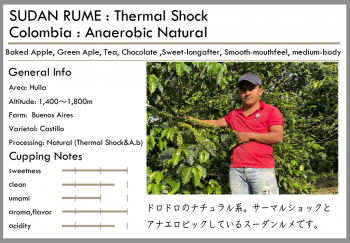 <img class='new_mark_img1' src='https://img.shop-pro.jp/img/new/icons15.gif' style='border:none;display:inline;margin:0px;padding:0px;width:auto;' />SUDAN RUME -Natural-<br><br>Colombia(100g)<br> <br>٥ɥåץ롦<br> <br>ޥ륷åȥʥӥåȥ⥹