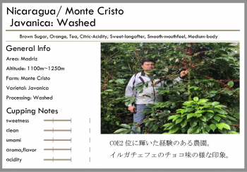 <img class='new_mark_img1' src='https://img.shop-pro.jp/img/new/icons15.gif' style='border:none;display:inline;margin:0px;padding:0px;width:auto;' />ニカラグア -Washed-<br>浅煎り・中煎り<br>モンテクリスト農園(100g)<br> <br>チョコ・ティー<br> <br>イルガチェエフェのチョコ味