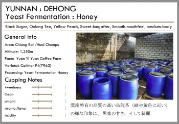 <img class='new_mark_img1' src='https://img.shop-pro.jp/img/new/icons15.gif' style='border:none;display:inline;margin:0px;padding:0px;width:auto;' />YUNNAN-Yeast Fer Honey-<br>浅煎り<br>(100g)<br> <br>黒蜜・ウーロンティ<br> <br>上質な雲南産コーヒー