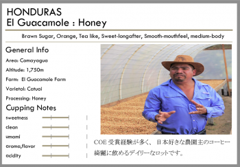 <img class='new_mark_img1' src='https://img.shop-pro.jp/img/new/icons15.gif' style='border:none;display:inline;margin:0px;padding:0px;width:auto;' />ۥ󥸥饹 -Honey-<br>/<br>롦⡼(100g)<br> <br>֥饦󥷥奬ƥ饤<br> <br>ŤȤäѤ괶