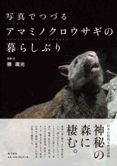 写真でつづる アマミノクロウサギの暮らしぶり 写真でつづる アマミノクロウサギの暮らしぶり