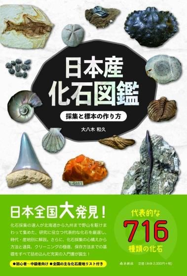 東アフリカ産宝石原石標本8種(産地違いを含む)18p 宝石(原石)コレクション21種/地球スペシャル標本の通販 by