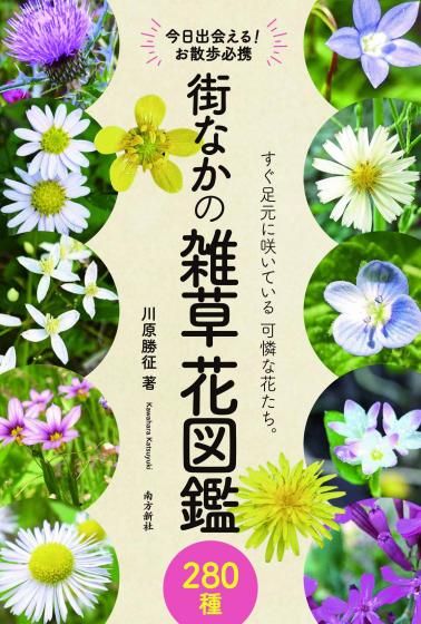 身近な野草とキノコ : 花のつくりがよくわかる植物観察図鑑 旺文社