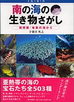 南の海の生き物さがし - 鹿児島・奄美の本 図書出版 南方新社