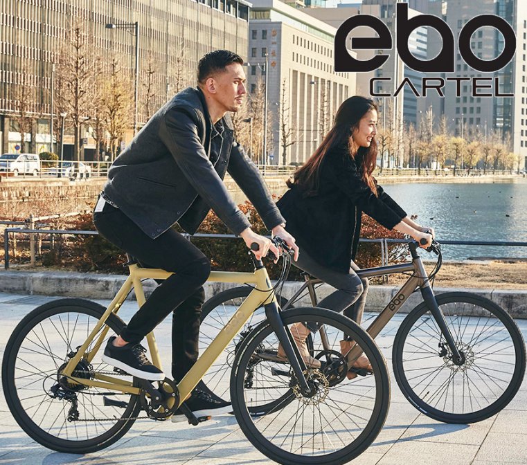 EBO by CARTEL BIKES Gun Metal