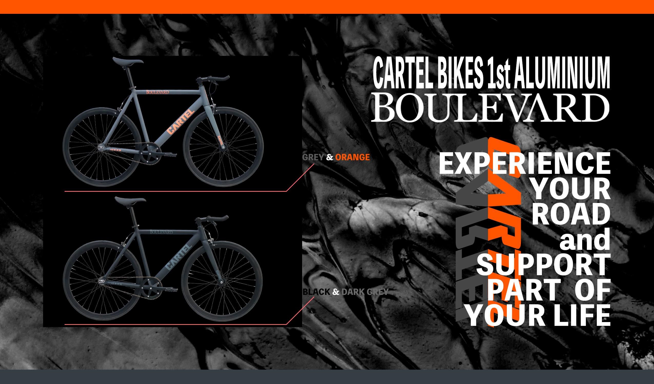 2022秋冬新作】 CARTEL BIKESカーテルバイクAVENUE LO完成品（室内保管