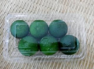 ûѥåʥϥݡ