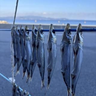 <img class='new_mark_img1' src='https://img.shop-pro.jp/img/new/icons14.gif' style='border:none;display:inline;margin:0px;padding:0px;width:auto;' />ᤤ路ŷꥫ꥿ס绺ˡڥȯʡ