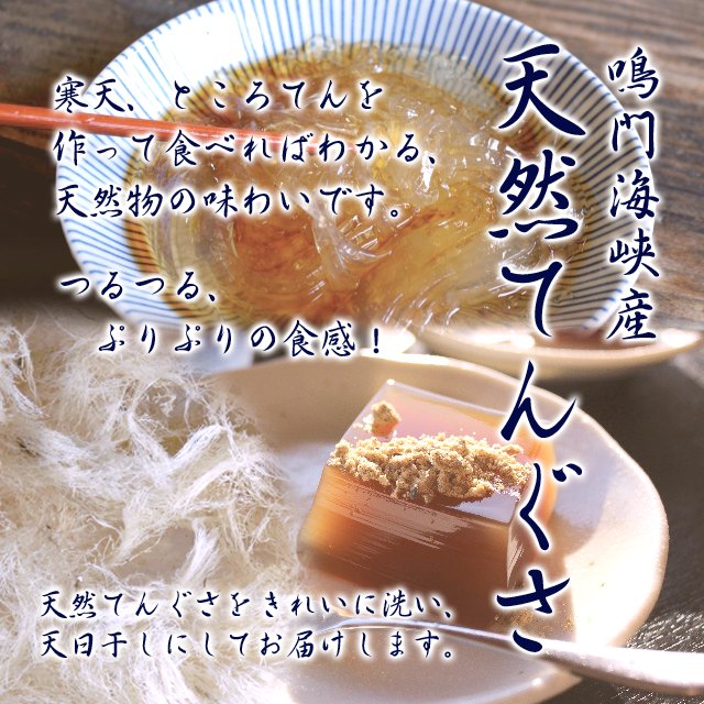 てんぐさ（鳴門産）50g｜海藻・海産物｜こだわりの土産物【豊田商店】