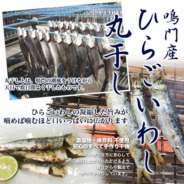 ひらごいわし丸干し 鳴門産 クール便発送商品 手作りひもの こだわりの土産物 豊田商店 ひらごいわし丸干し 鳴門産 クール便発送商品 手作りひもの こだわりの土産物 豊田商店