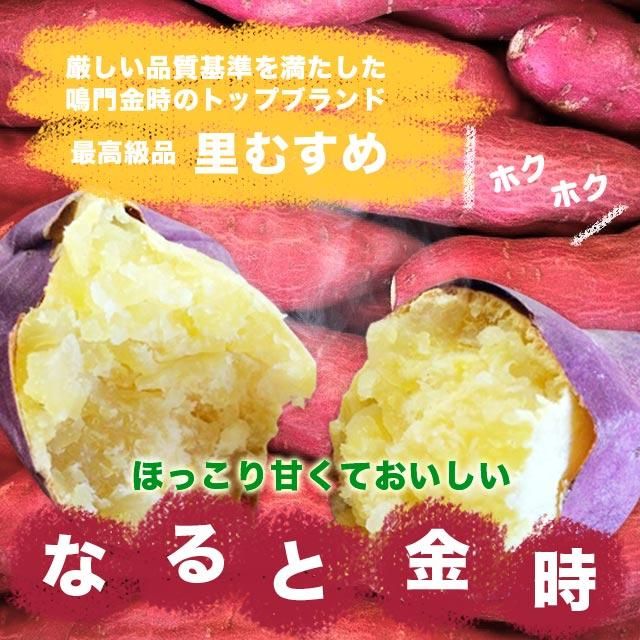 鳴門金時 家庭用（5kg箱入）｜鳴門金時（さつまいも）｜こだわりの