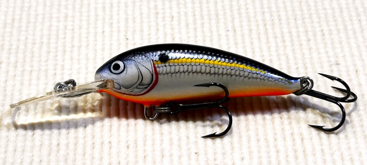 BAGLEY BALSA SHAD SSB05 バルサシャッドSSB05　　　　　NB-EYE-TOKYO