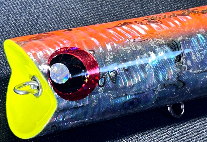 KZ Work's WILD FANG 100 限定シェルスペシャル NB-EYE-TOKYO KZ Work's WILD FANG 100 限定シェルスペシャル NB-EYE-TOKYO
