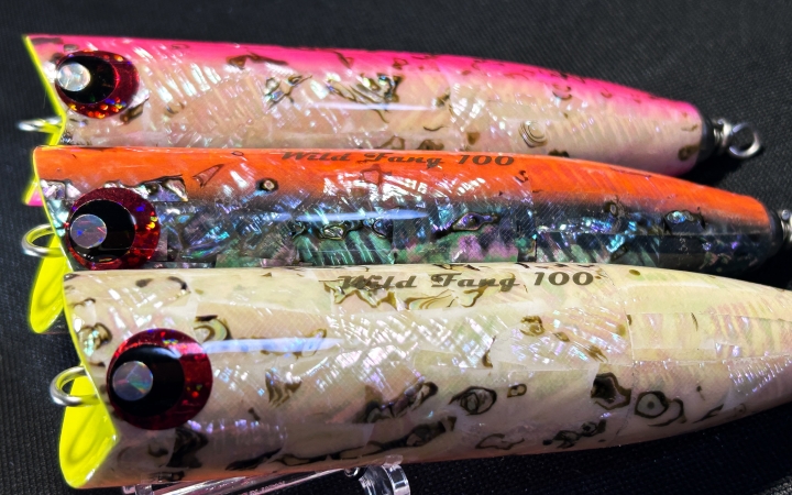KZ Work's WILD FANG 100 限定シェルスペシャル NB-EYE-TOKYO KZ Work's WILD FANG 100 限定シェルスペシャル NB-EYE-TOKYO
