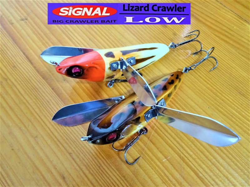 CIGNAL LizardCrawler-LOW 2020NEW