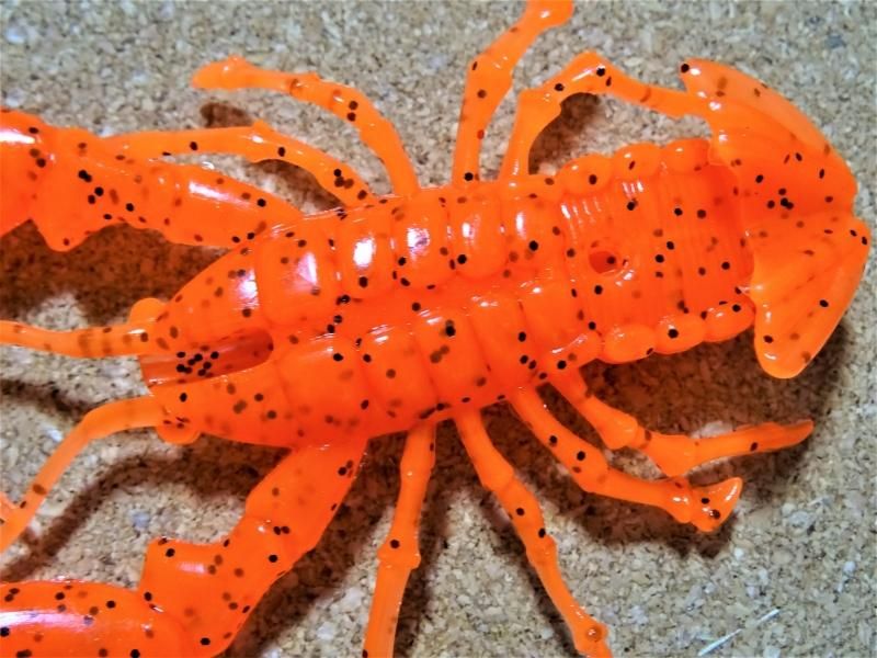 ワンナック Devil Claw デビルクロー！ 最強のタコ専用ベイト