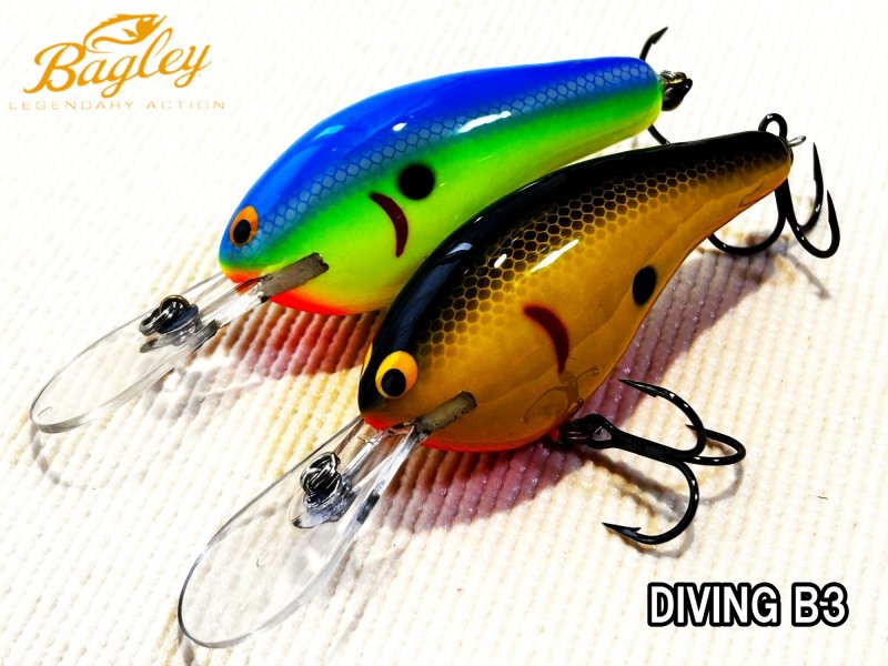 BAGLEY DIVING B DB3ダイビングDB3 NB-EYE-TOKYO