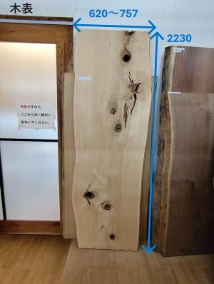 <img class='new_mark_img1' src='https://img.shop-pro.jp/img/new/icons15.gif' style='border:none;display:inline;margin:0px;padding:0px;width:auto;' />ĿҥС223062075555դġ̵ࡡ󥿡˥󥰥ơ֥