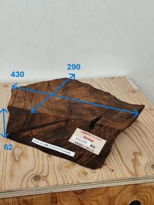 <img class='new_mark_img1' src='https://img.shop-pro.jp/img/new/icons24.gif' style='border:none;display:inline;margin:0px;padding:0px;width:auto;' />񻺺ӥեòʡž夲29043062mmüࡡʪ