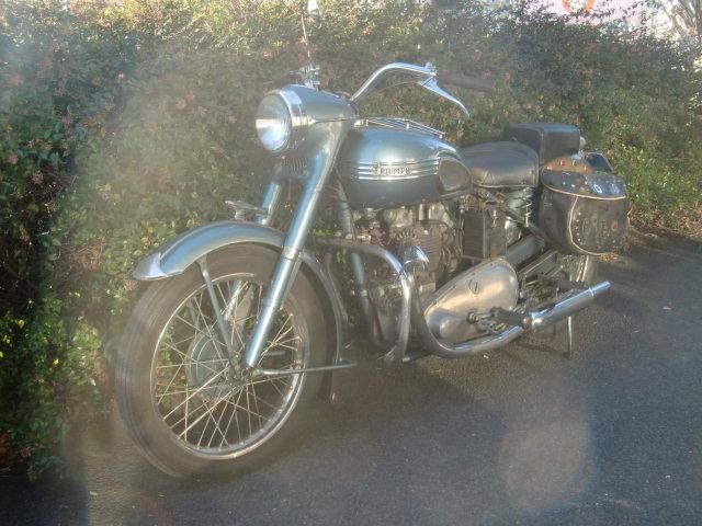 1950 6T thunderbird - GreenSmith