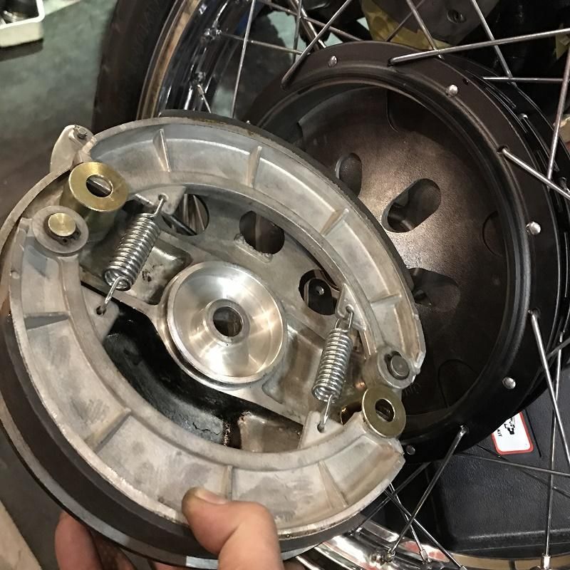 CERIANI 230mm FRONT BRAKE - GreenSmith