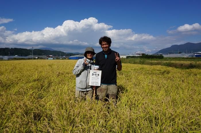 清水さんの特選無農薬米こしひかり | 長野県産大粒無農薬米 清水さんの特選無農薬米こしひかり | 長野県産大粒無農薬米