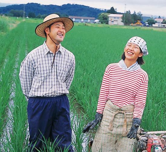 東京都北区のお米屋さん 農家直送米篠原ライス オンラインショップ　山形県高畠産おきたま興農舎さんの特別栽培つや姫